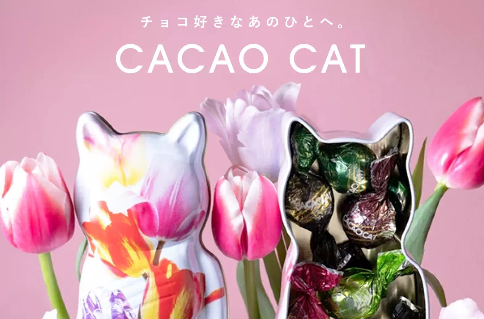 CACAO CAT