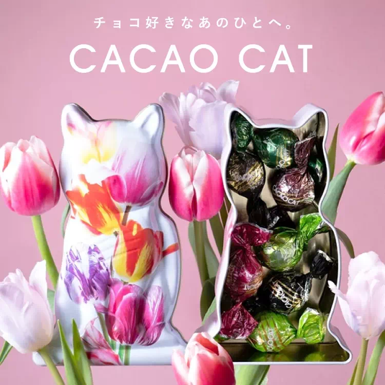 CACAO CAT