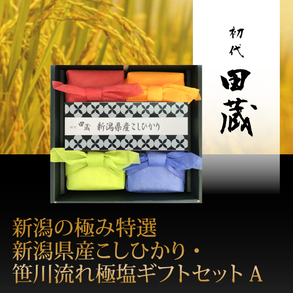 初代田蔵　新潟の極み特選新潟県産こしひかり・笹川流れ極塩ギフトセットA【出産内祝い】