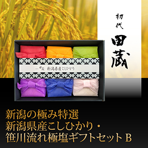 初代田蔵　新潟の極み特選新潟県産こしひかり・笹川流れ極塩ギフトセットB【出産内祝い】