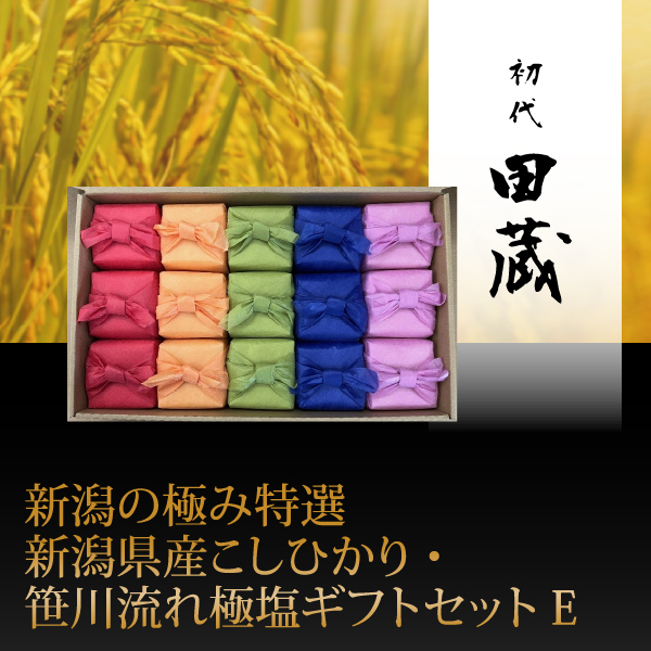初代田蔵　新潟の極み特選新潟県産こしひかり・笹川流れ極塩ギフトセットE【出産内祝い】